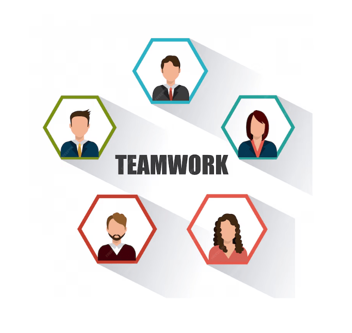 Healthcare software team collaboration for patient care